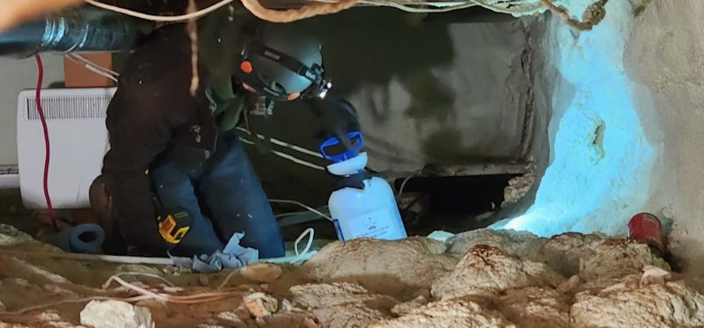 pest control extermination