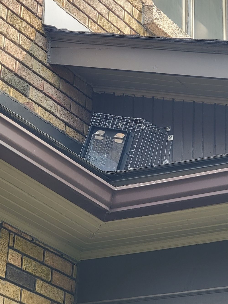 Wildlife control measures installed to safely prevent animal entry into residential roof spaces.